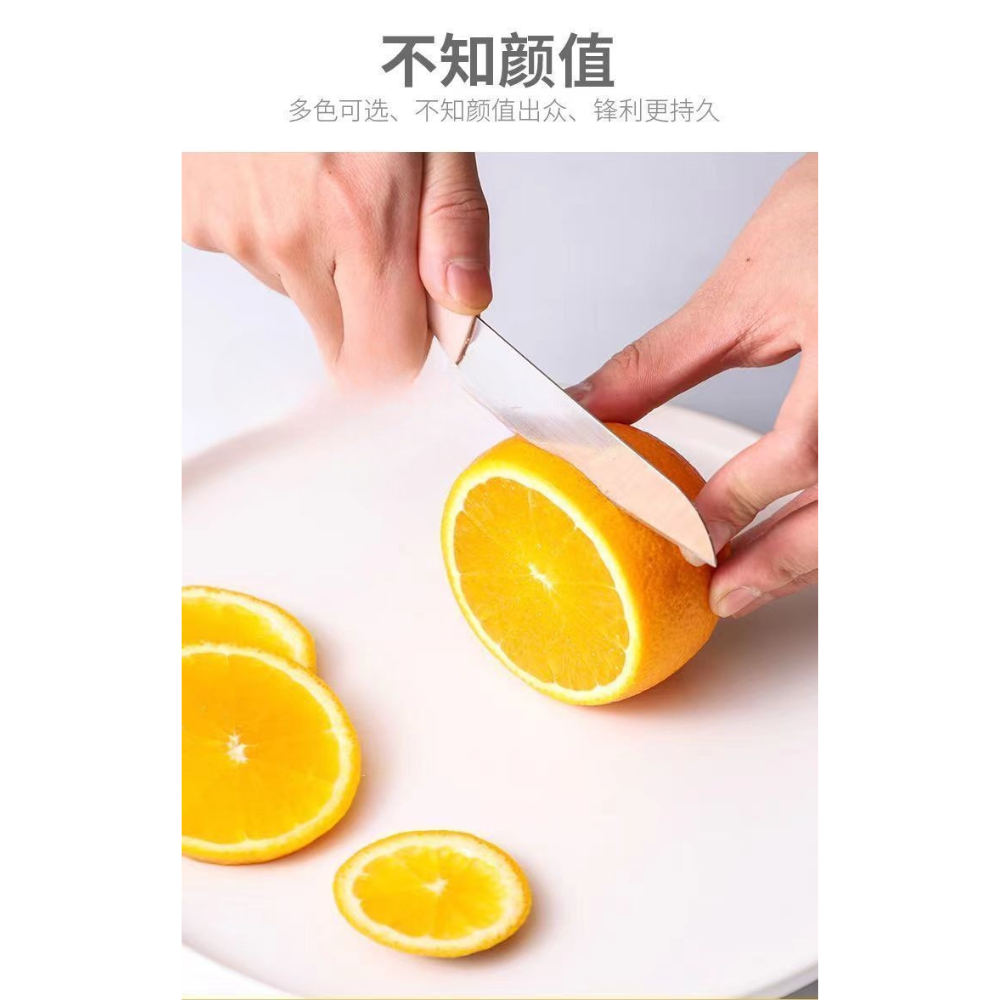 Stainless Steel Fruits Vegetables Kitchen Knife with Cover